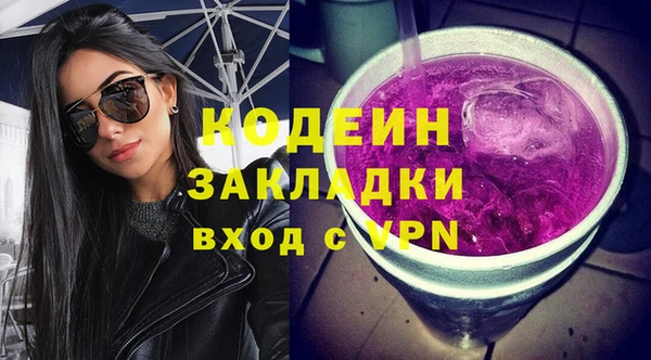 индика Волосово