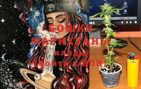 индика Белокуриха