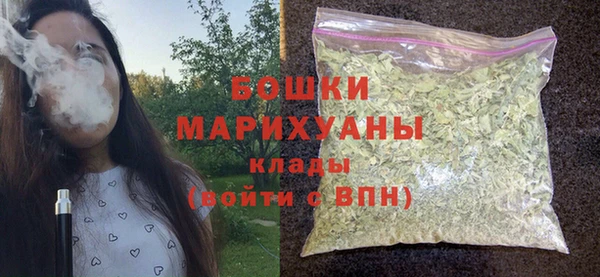 индика Белокуриха