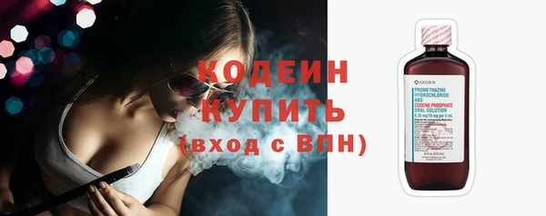 индика Белокуриха