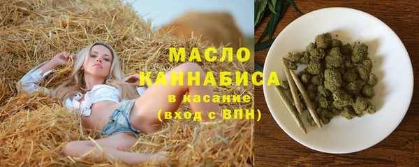 индика Белокуриха