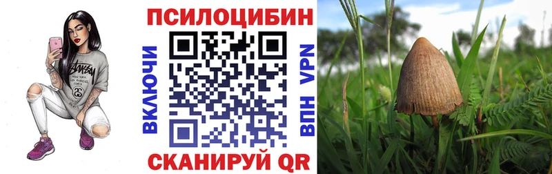 Псилоцибиновые грибы Magic Shrooms  Горбатов 